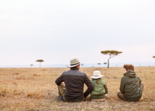 How to Choose the Right Safari Tour for Your Family