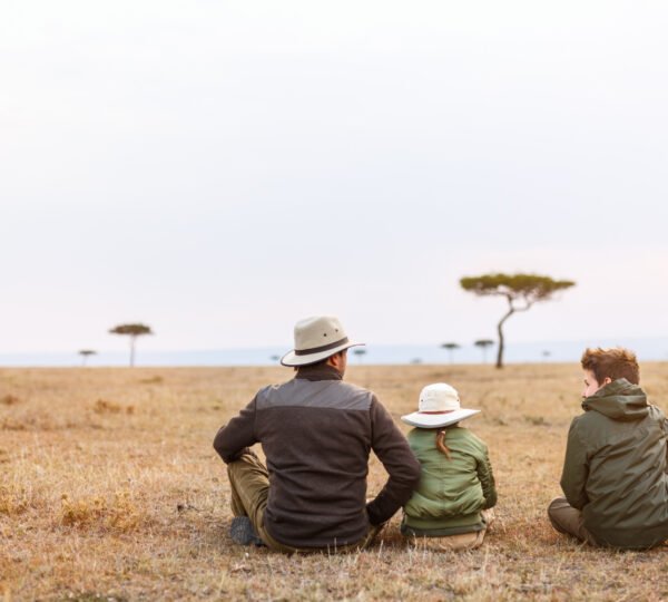 How to Choose the Right Safari Tour for Your Family