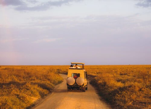 Budget Safari Tips: How to Enjoy an Affordable Tanzanian Adventure