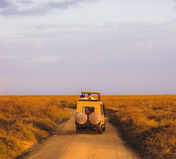 Budget Safari Tips: How to Enjoy an Affordable Tanzanian Adventure