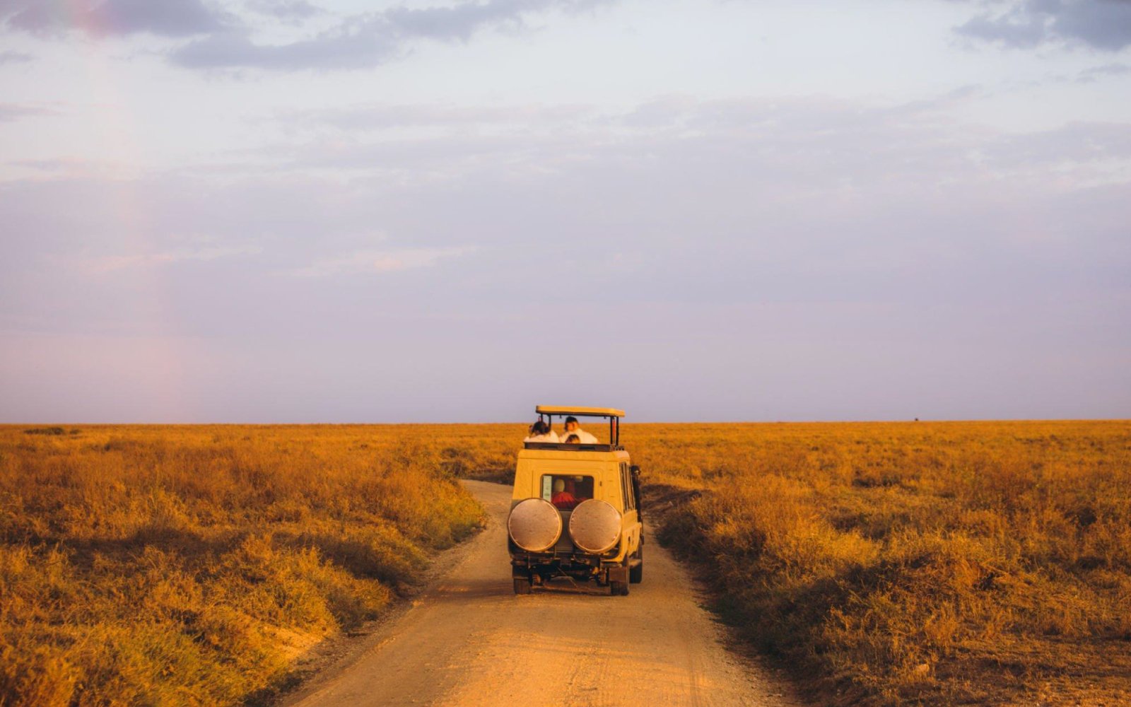 Budget Safari Tips: How to Enjoy an Affordable Tanzanian Adventure