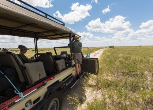 Eco-Friendly Safari Options in Tanzania: Sustainable Travel Tips