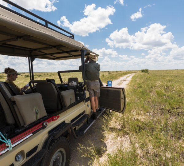 Eco-Friendly Safari Options in Tanzania: Sustainable Travel Tips