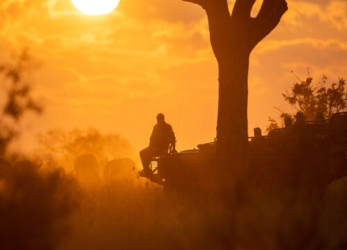 The Best Time to Climb Kilimanjaro: Seasonal Insights and Weather Tips