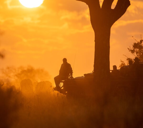 The Best Time to Climb Kilimanjaro: Seasonal Insights and Weather Tips