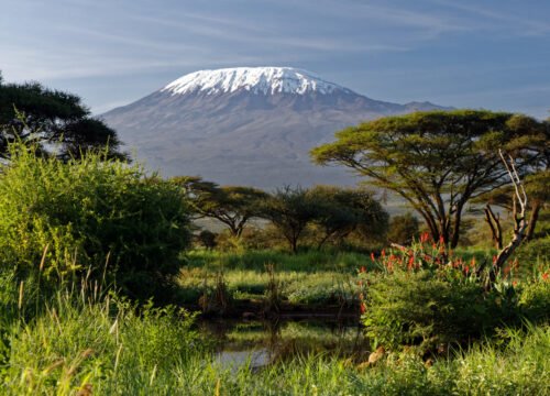 The Best Time to Climb Kilimanjaro: Seasonal Insights and Weather Tips