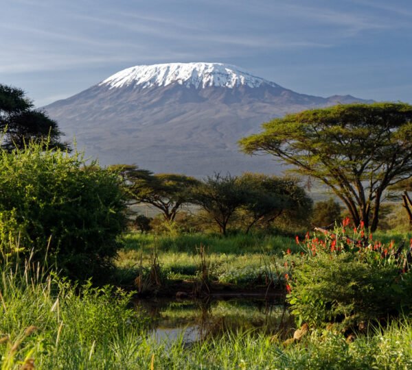 The Best Time to Climb Kilimanjaro: Seasonal Insights and Weather Tips