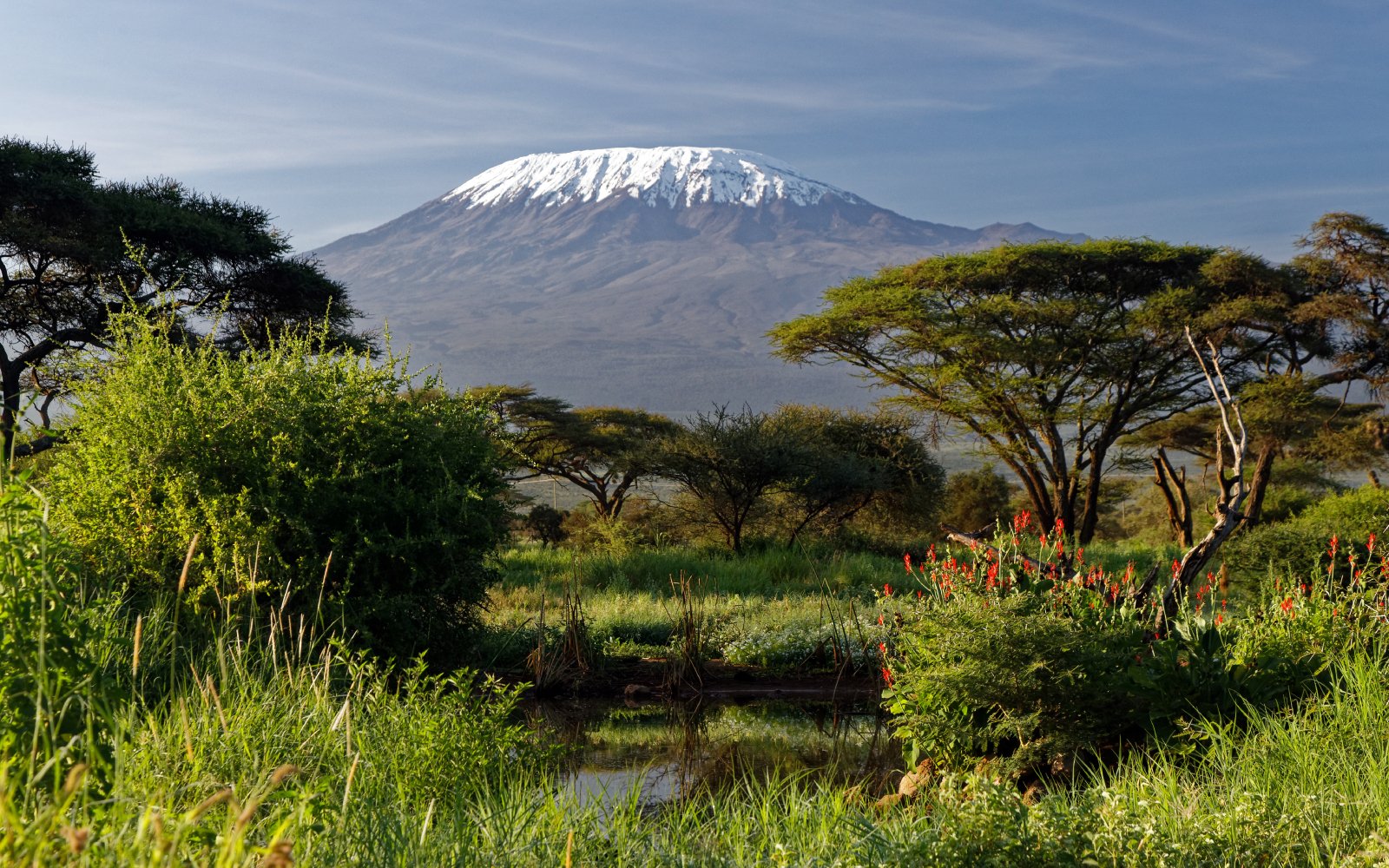 The Best Time to Climb Kilimanjaro: Seasonal Insights and Weather Tips