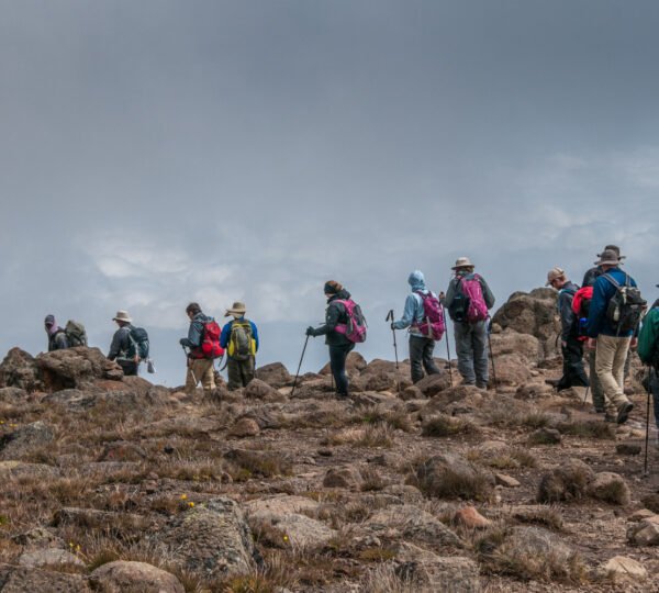 Top Kilimanjaro Routes: Find the Best Path to the Summit