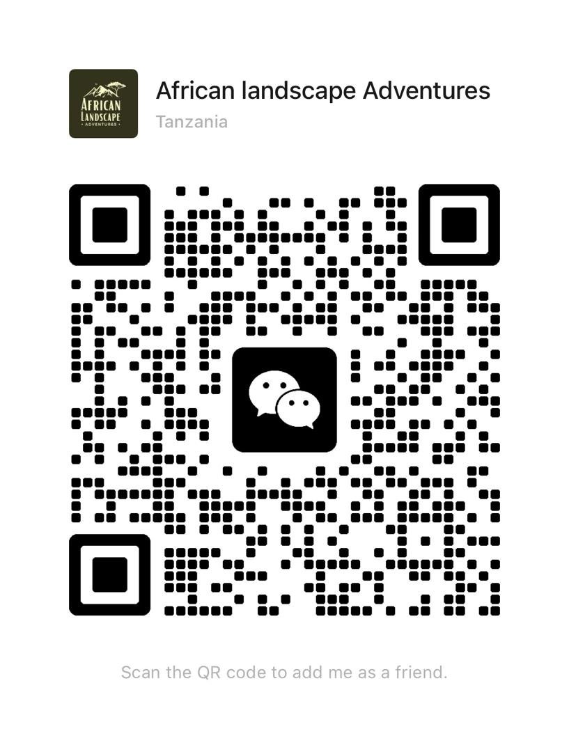 WeChat QR Code