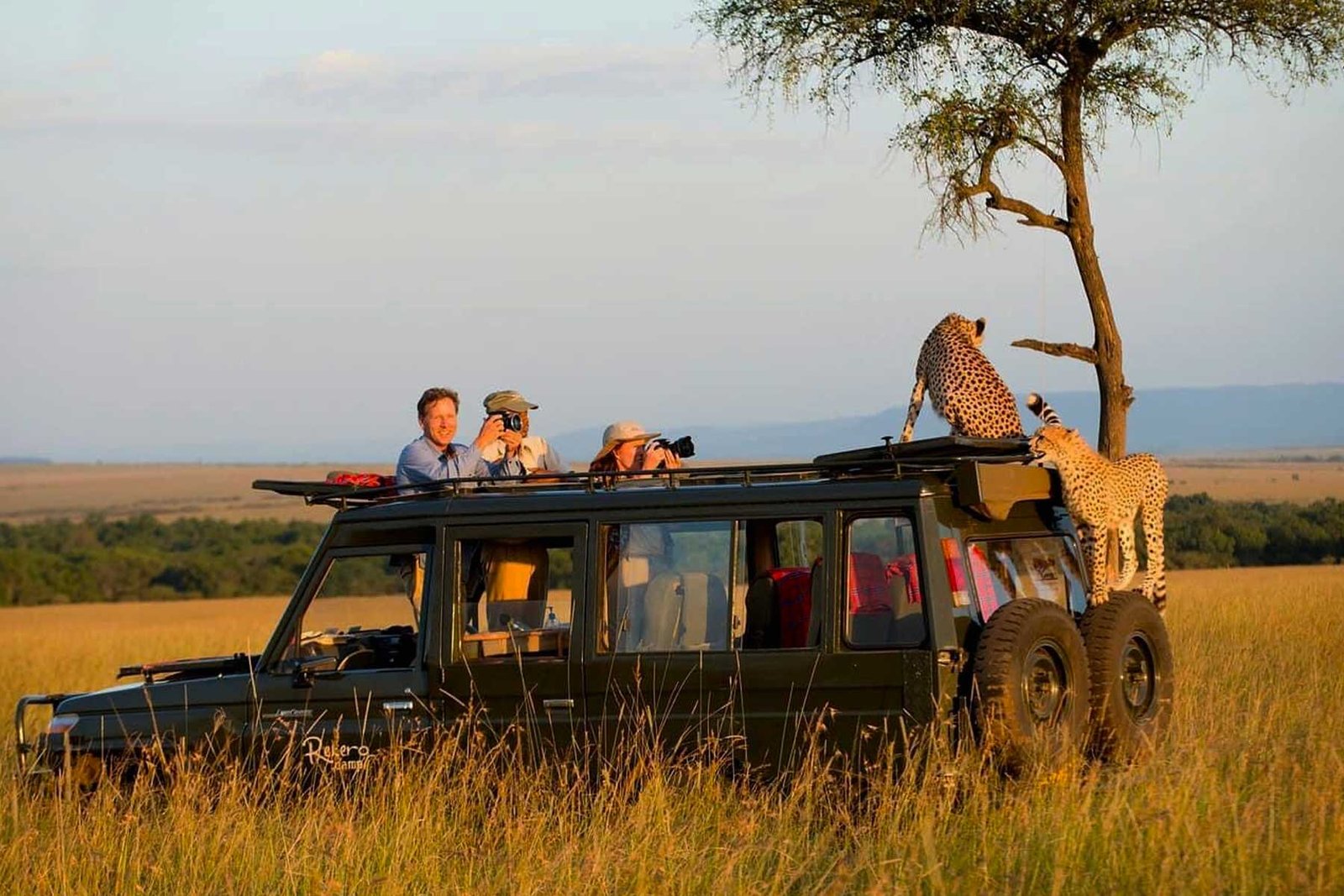 Game Drives (Morning, Afternoon & Full-Day)