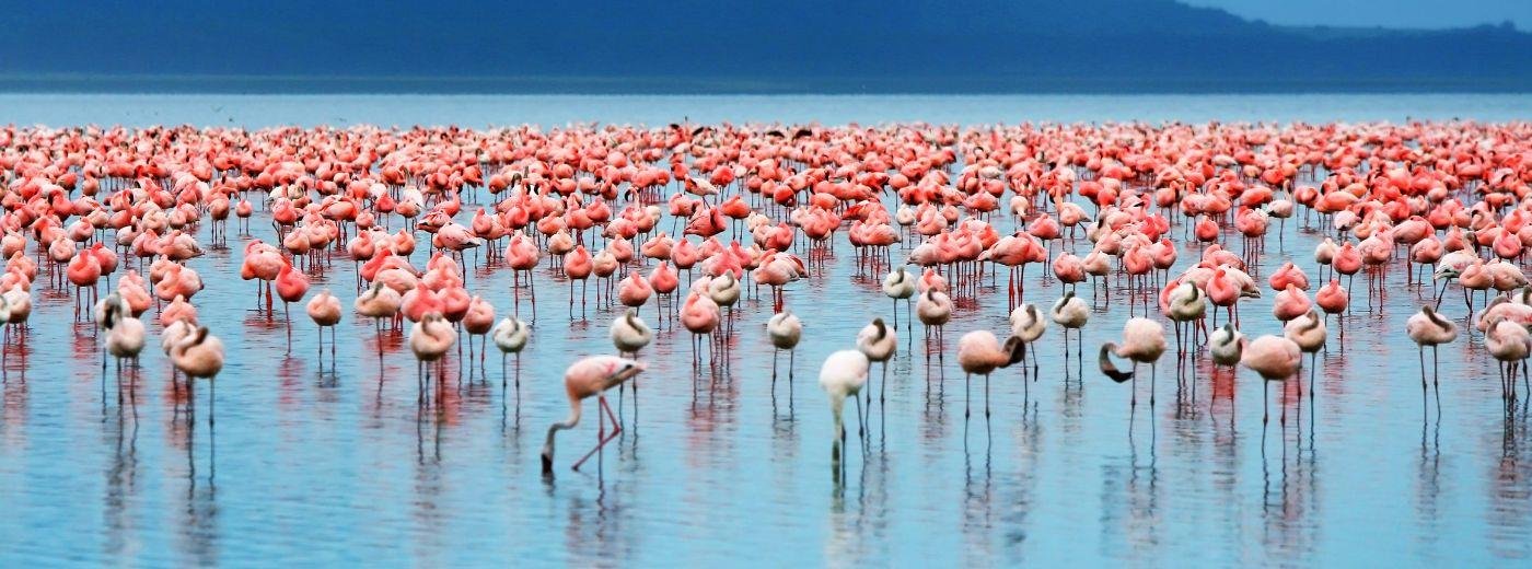 Lake Manyara Tanzania