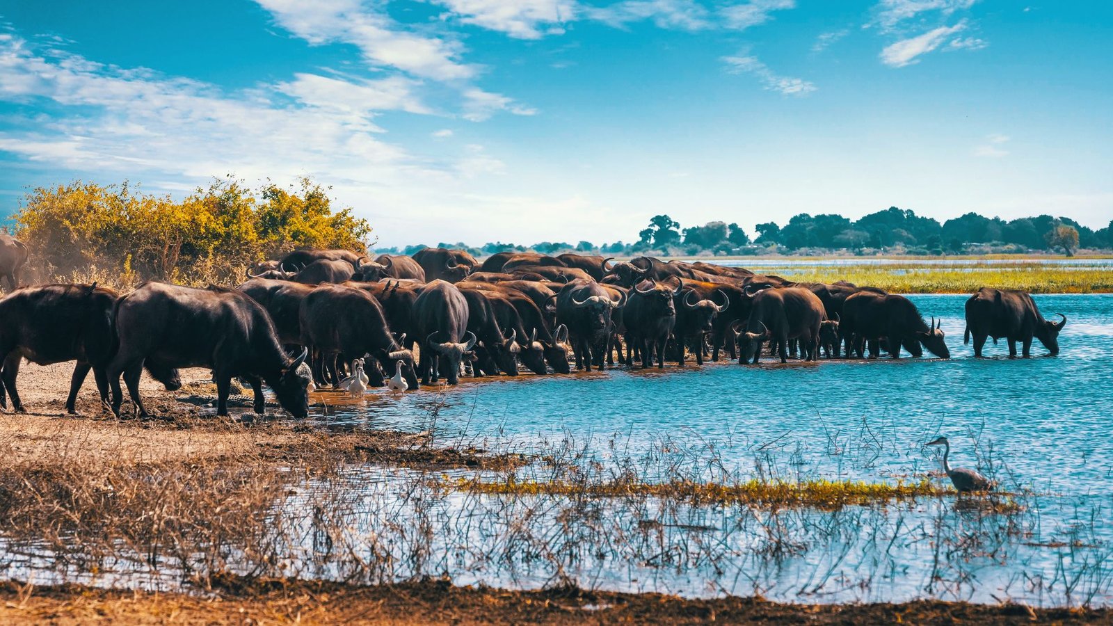 Lake Manyara National Park scenery