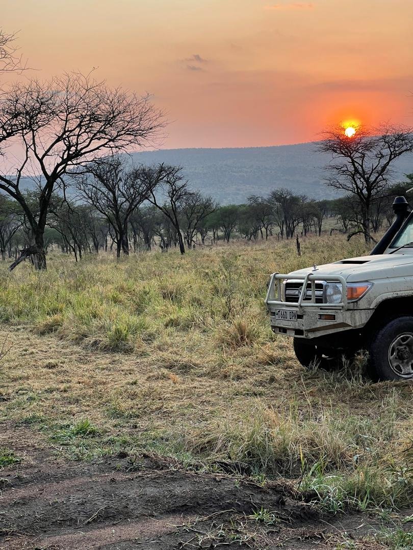 African Landscape Adventures Safari Fleet