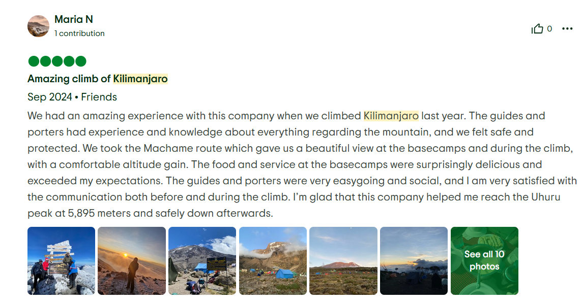 TripAdvisor Review 1