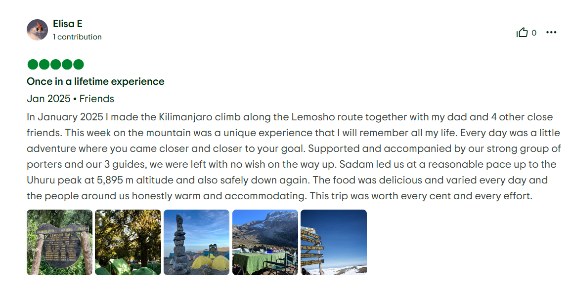 TripAdvisor Review 2