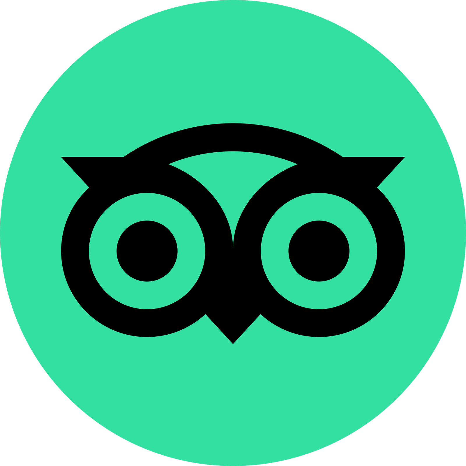 TripAdvisor