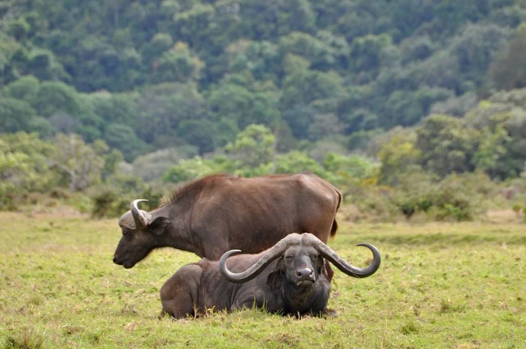 Arusha-National-Park1