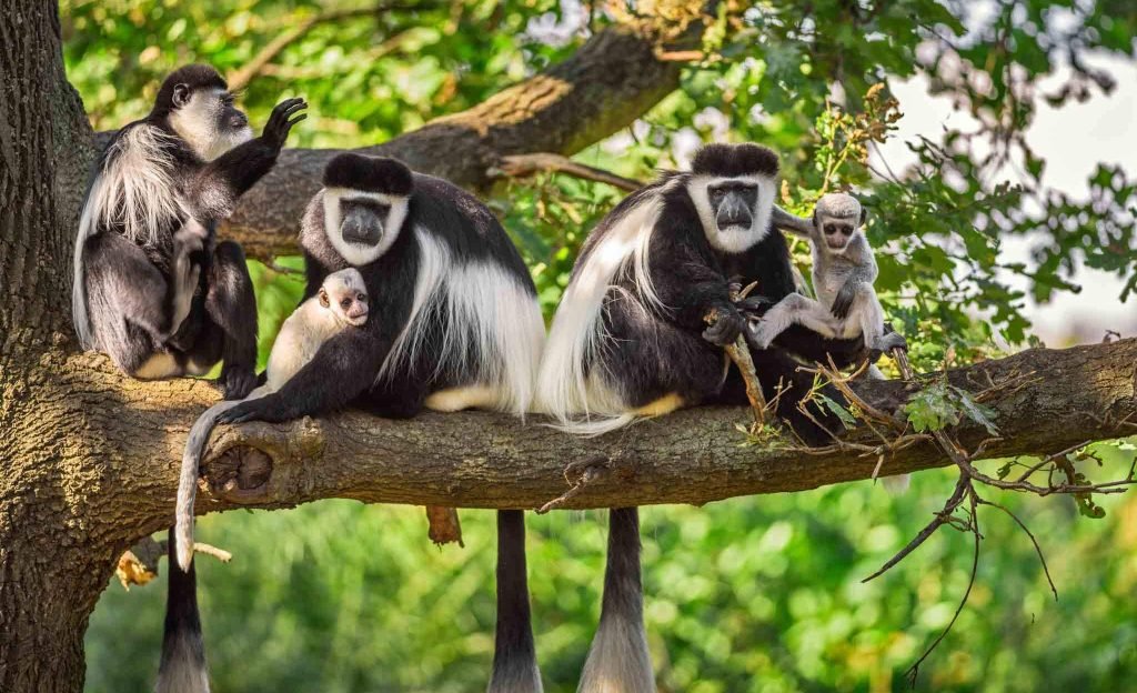 Arusha National Park2