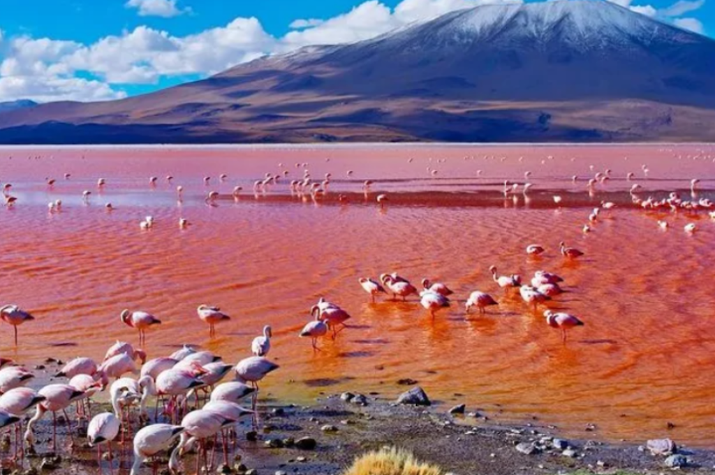 Lake-Natron1