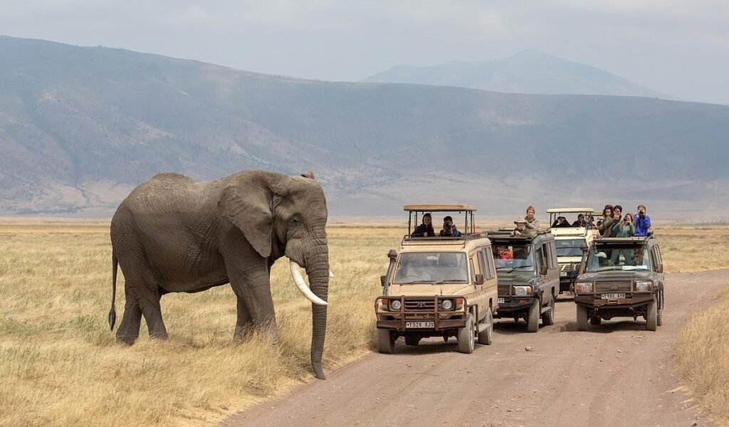 Ngorongoro Crater And Highlands