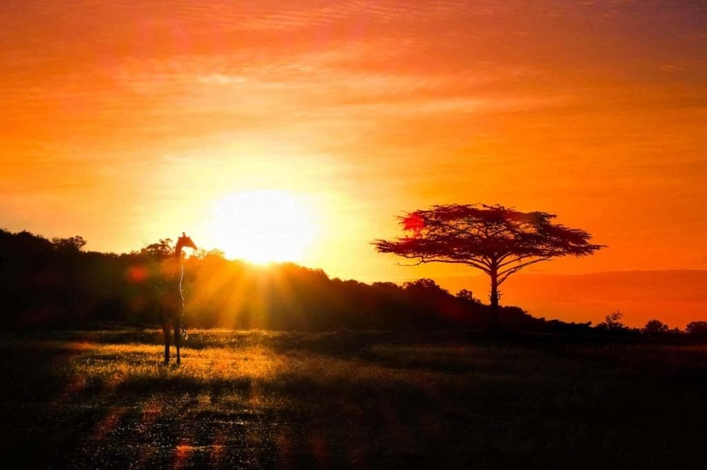 Selous-Game-Reserve1-
