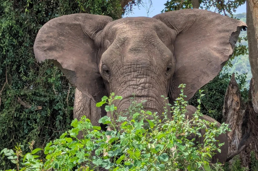 lake manyara 4