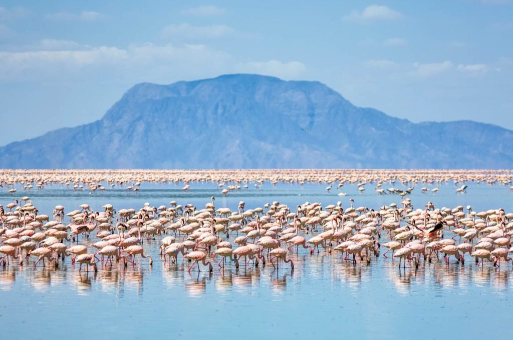 lake natron3
